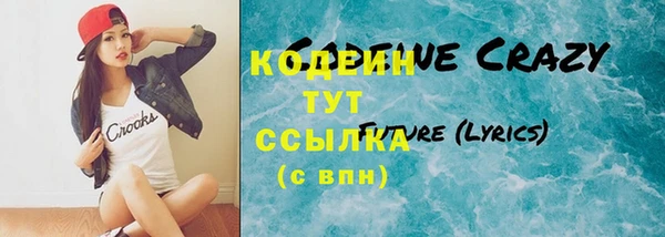 меф Снежинск
