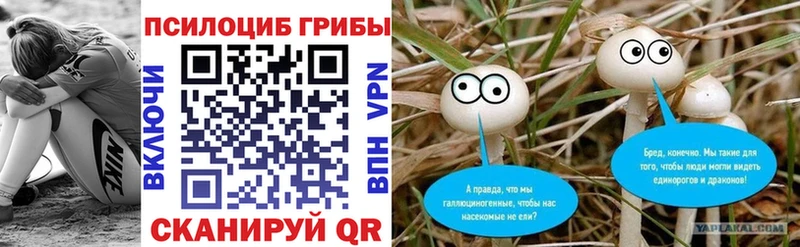 Псилоцибиновые грибы прущие грибы  Купить закладки  Тайшет 